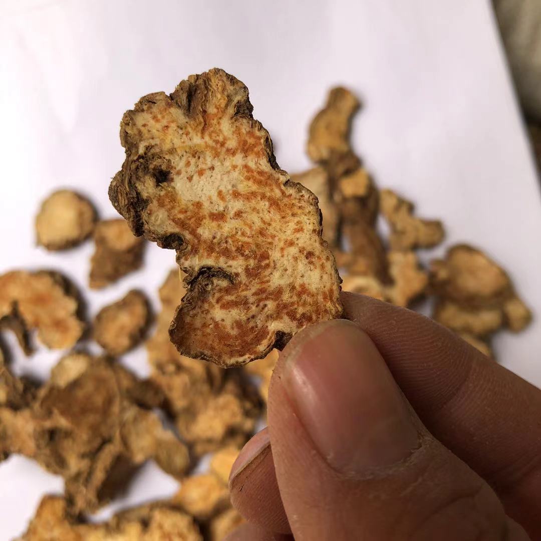 苍术生苍术苍术切片家中苍术量大价优
