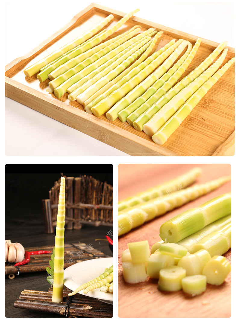 高山野笋500g脆嫩笋新鲜笋尖鲜嫩绿笋尖火锅笋餐饮饭店商用半成品