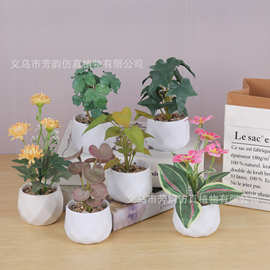 现货假花绿植迷你人造盆栽 跨境仿真塑料PU手感龟背叶小盆栽摆件