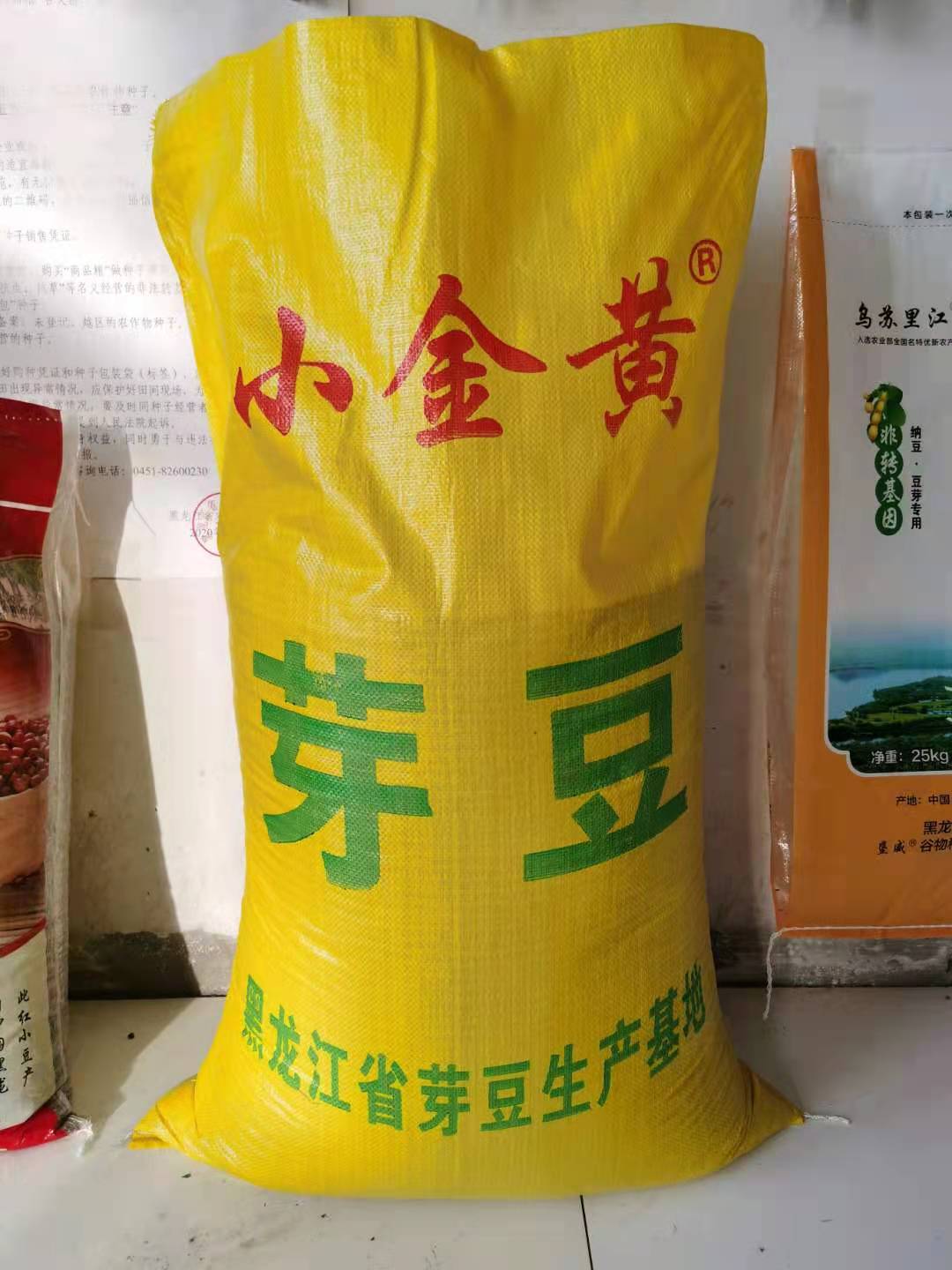 小金黄芽豆/东农高蛋白绥小粒黄大豆/690升691珍珠生品种子乌产地