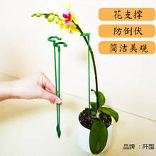 ，蝴蝶兰多肉花架支架植物盆栽花卉造型支撑杆固定防倒伏护叶架专