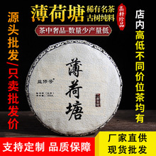 云南普洱茶批发源头厂家2021开春薄荷塘生茶饼茶200g茶叶批发