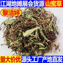 江湖地摊山蜜草批发 山蜜草茶梗 百花草益寿茶罗汉果花甜叶菊