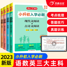 2023版 小升初入学现代文古诗文专项训练空阅读理解六年级总复习