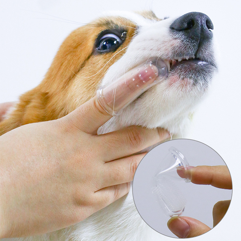 Dog Toothbrush Anti-Tartar Cleaning Pet Oral Finger Stall Anti-Bite Cross-Border New Pet Beauty Cleaning Supplies