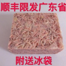 南极虾砖钓饵虾饵诱饵鱼料窝料打窝虾钓鱼食饲料大号L 2.5斤一砖