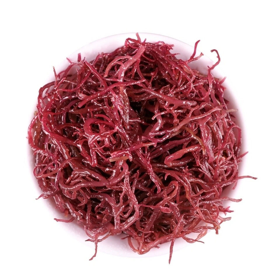 5斤包邮紫晶藻海草龙须菜龙须菜海草海石花鹿角菜海藻菜丝凉拌菜