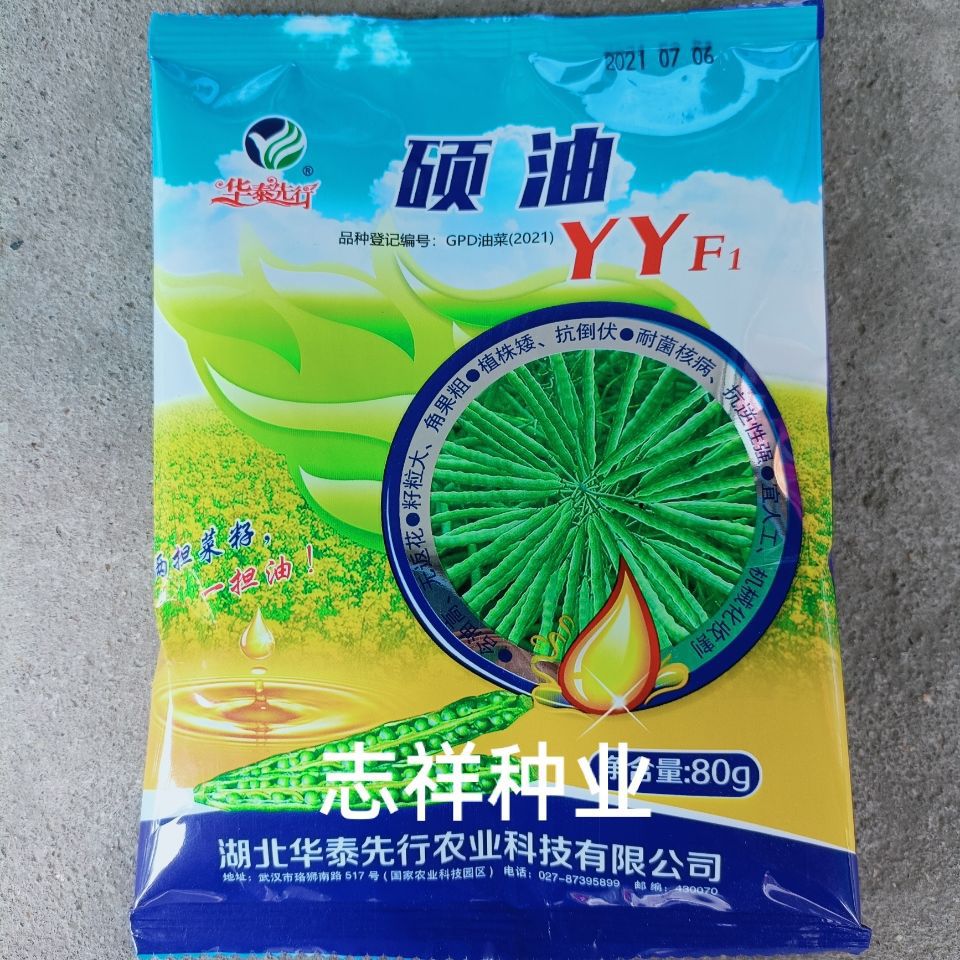油菜种子批发硕油yy杂交油菜种籽子植株矮花籽甘蓝型油菜种子80克