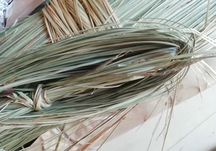 大闸蟹香草绳粽子绳产地直销植物草增香包邮端午包粽子绳约1.