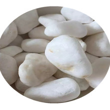 湖南永州水族过滤原材料白色石米 怀化烟灰隔阂白米石