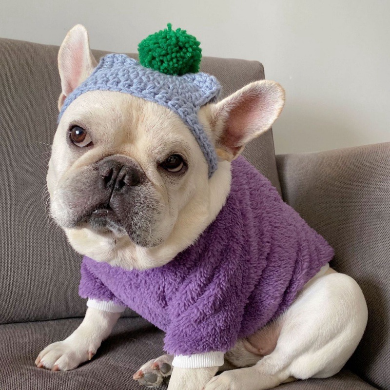 狗衣服中型犬冬季出门带风宠物雪纳瑞英斗泰迪秋冬保暖卫衣-阿里巴巴