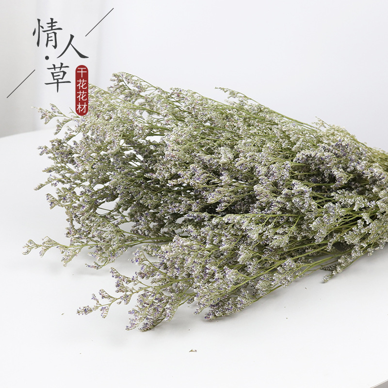 情人草干花花束森系干花插花配材家居橱窗摆件云南厂家整束批发