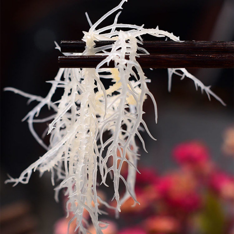 龙须菜干货凉拌菜特级龙须菜批发石花菜长寿菜鹿角菜海石花珊瑚草