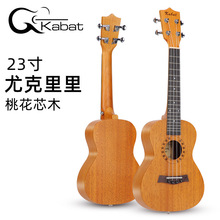 尤克里里 0EM ukulele23寸夏威夷乌克丽丽4弦小吉他全桃花心木