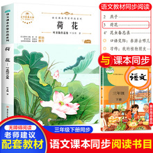 荷花三年级下册语文课本课外阅读书叶圣陶作品具集 儿童 小学生课