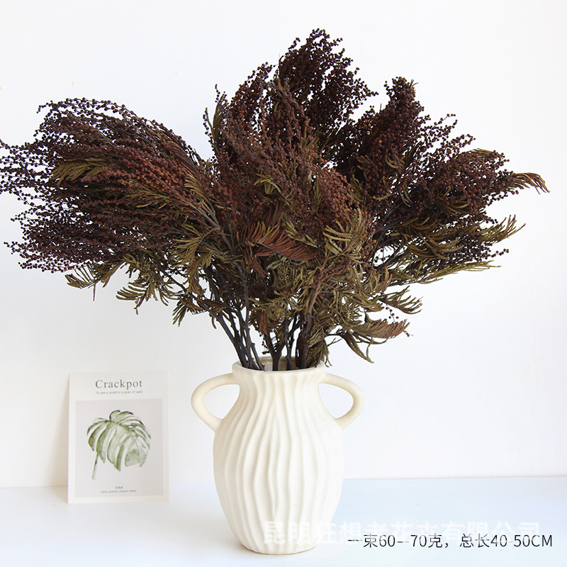 狂想者新品【永生圣诞花】香薰蜡烛手工diy自然装饰材料干花干枝