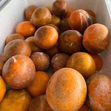 乌柑广西脏脏丑沃甜桔子新鲜水果3/5/9斤新鲜混批速卖通批发跨境