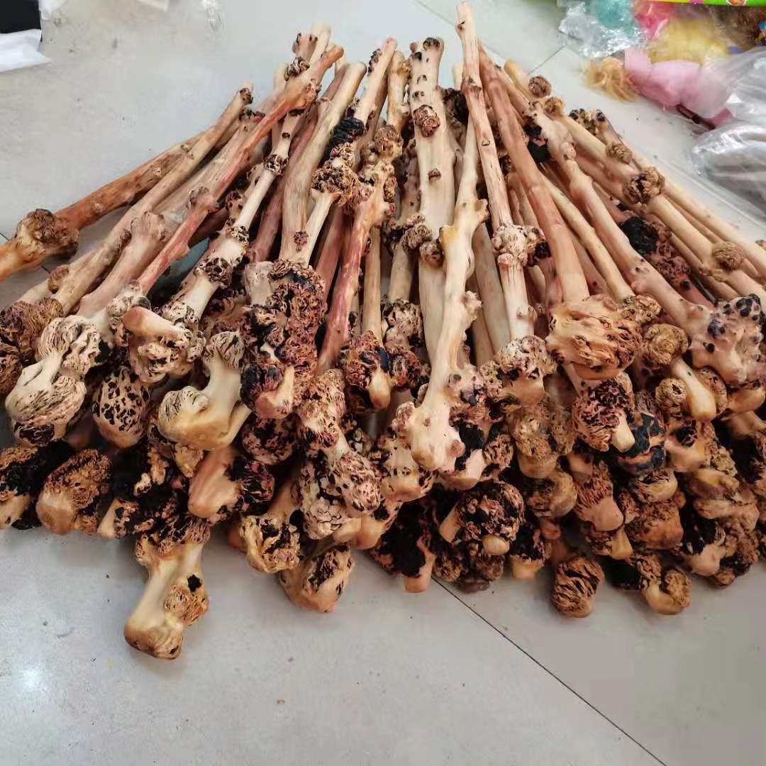 黑果木树瘤 手把件 按摩棒健身防身把玩棍山茶木随行木质麻梨疙瘩