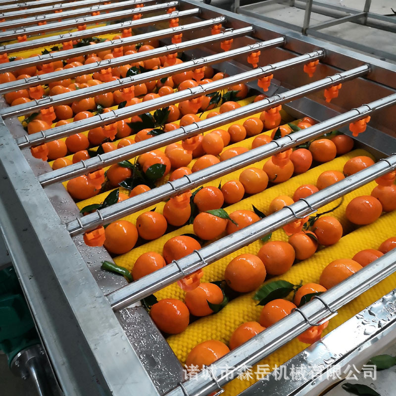 全自动平行毛刷清洗机 水果清洗机设备橙子抛光打蜡机厂家-阿里巴巴