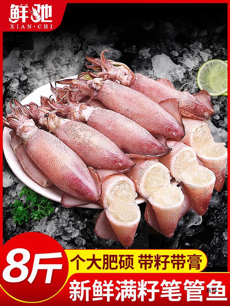 海兔子满籽鲜活笔管鱼海鲜新鲜全籽籽乌冷冻墨鱼仔乌贼小鱿鱼水产