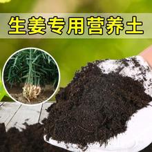 生姜土家用种菜种植土有机土壤阳台蔬菜盆栽土生姜营养土