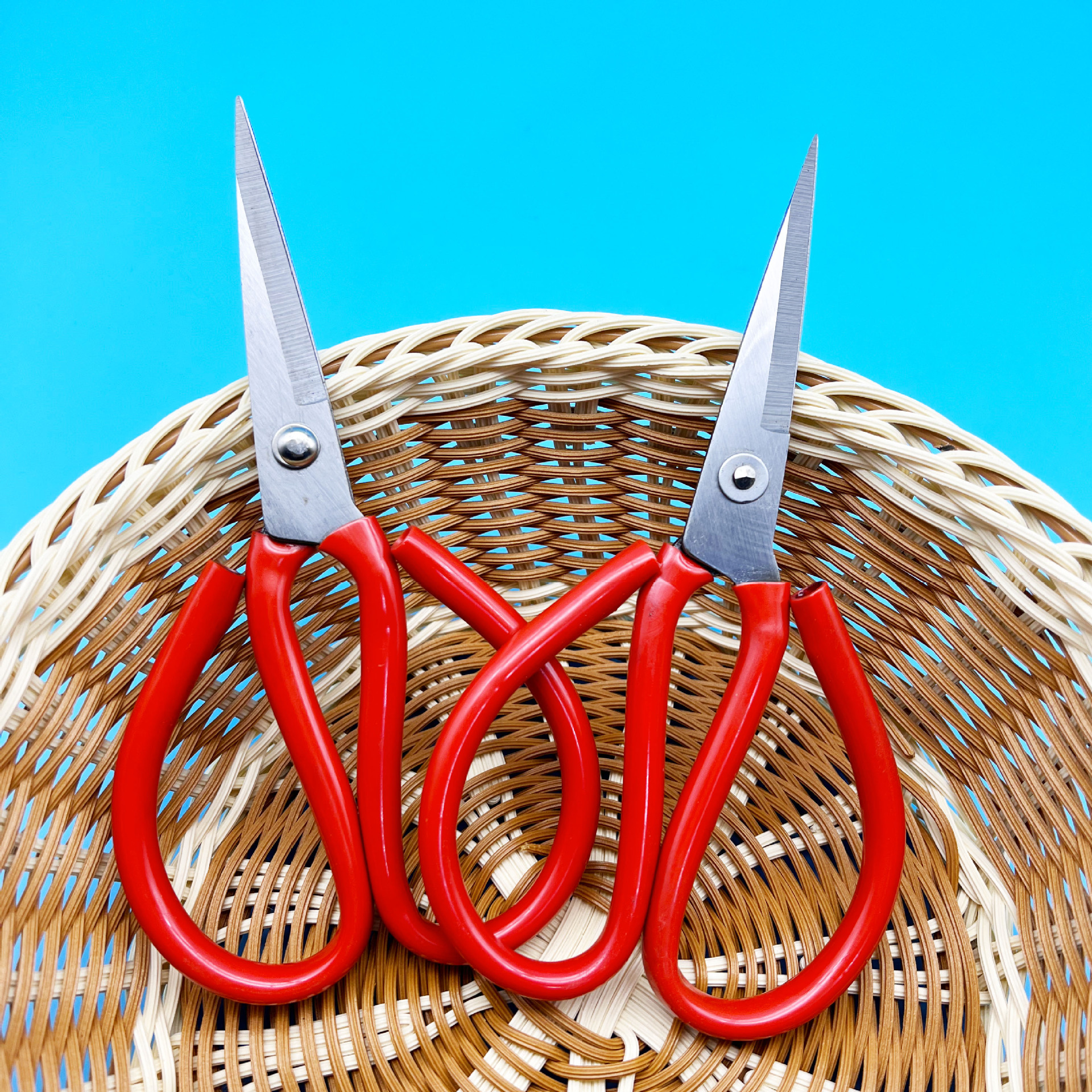 工业2号剪刀民用剪刀套管尖头剪刀红色手柄剪纸剪刀厂家批发剪刀