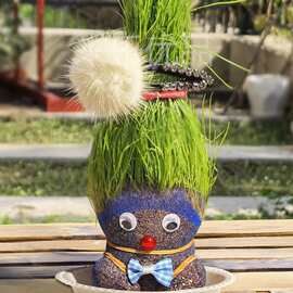 草头娃娃办公室迷你植物绿色青草铜钱草桌面小盆栽头娃娃情思草