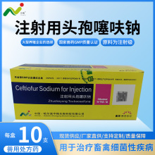 注射用头孢噻呋钠 1g?10支/盒 兽药 兽用 猪牛羊 现货 抗菌消炎