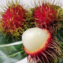 泰国红毛丹5斤毛荔枝新鲜毛丹稀有热带水果毛丹果批发包邮