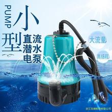 家用新款潜12v24v微型直流泵电动车水泵鱼缸换水排水泵塑料抽水泵