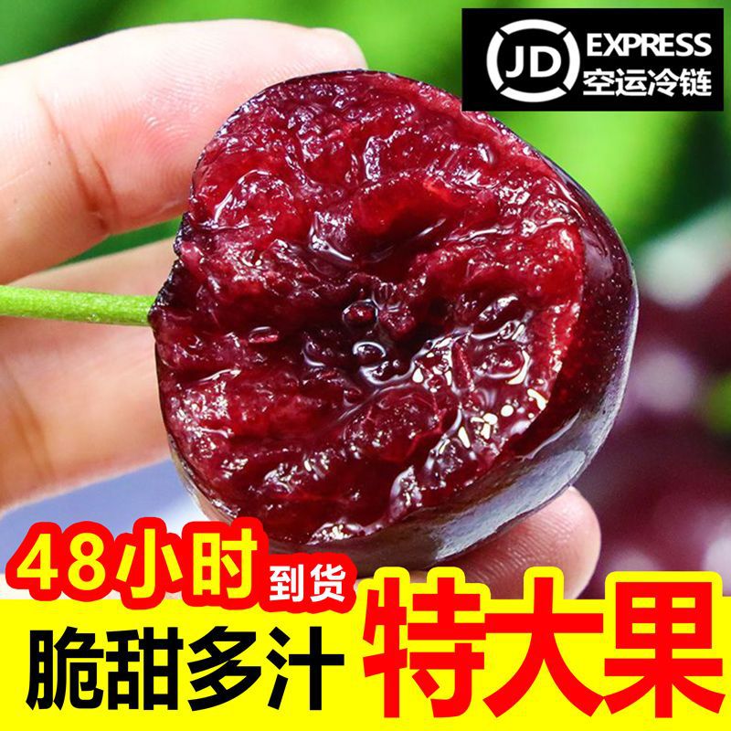山东大樱桃国产车厘子脆甜美早大红灯当季孕妇新鲜水果速卖通跨境