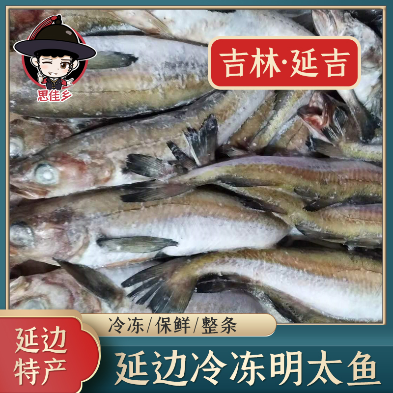 东北吉林明太鱼冷冻棒子鱼冰鲜朝鲜族延吉20斤30斤