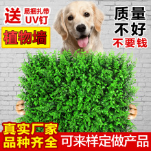 仿真植物墙背景墙加密尤加利塑料草坪门头招牌装饰仿真绿植假草皮