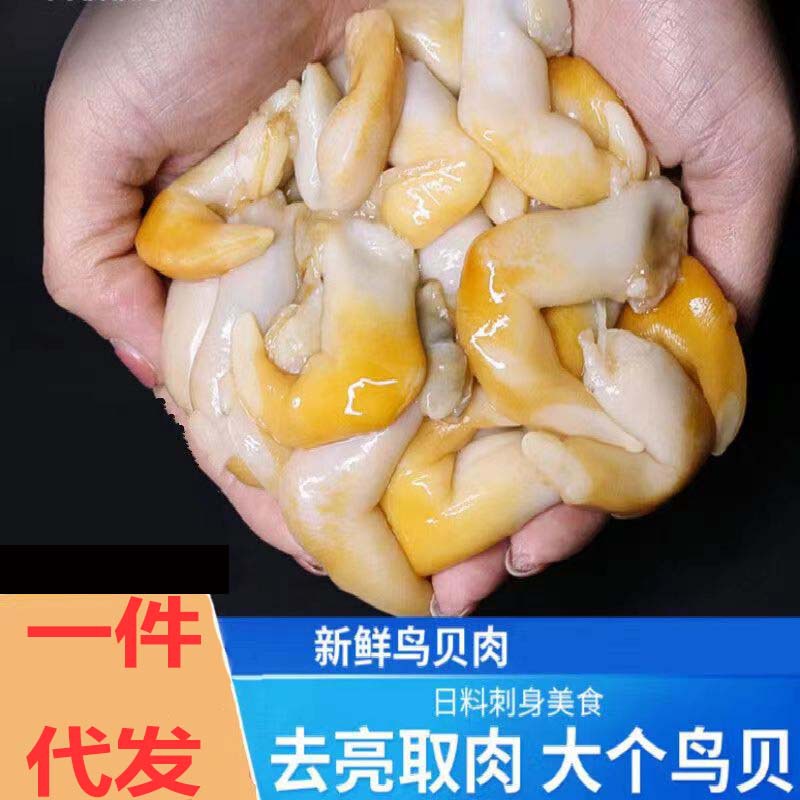 鸟贝肉超大鲜活冷冻水产新鲜鸟贝刺身海鲜火锅食材烧烤商用批发