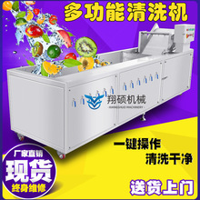 商用香菜清洗机 大产量水果萝卜清洗机源头工厂生产甘蓝清洗设备