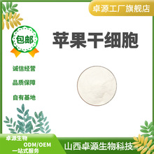 苹果干细胞99% 苹果破壁干细胞 干细胞1kg起订食品级保健原料现货