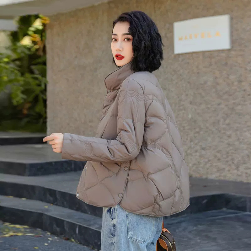 Autumn and Winter Stand-up Collar down Jacket Women's Short White Duck down Warm Winter Clothing Coat Light Retro Artistic Auspicious Cloud