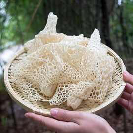 四川特产蜀南竹海长裙竹荪长宁竹荪50g特级竹荪竹笙干货 拍三送一