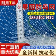 抓乌网草莓大棚果树樱桃葡萄梨树果园防鸟用网尼龙养殖网鱼塘天网