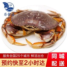 【活鲜】乐食港 鲜活珍宝蟹 太子蟹海鲜水产新鲜加拿大海鲜 1.6斤