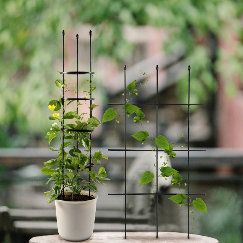 花盆阳台铁线莲攀爬架藤本植物花架园艺花架绿萝爬藤架支撑支架