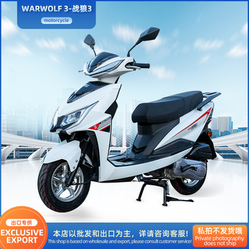 跨境出口哈萨克斯坦战狼摩托车成人两人高速踏板车燃油车机车批发