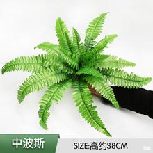 仿真绿植塑料波斯草绿化景观草植物墙配材装饰园艺家居假绿植批发