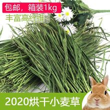 南提烘干提摩西苜蓿小麦大麦兔子荷兰猪龙猫牧叶子源工厂一件批发