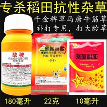 34%敌稗 二氯喹啉酸 水稻旱稻田大龄稗草千金马唐抗性青稗除草剂