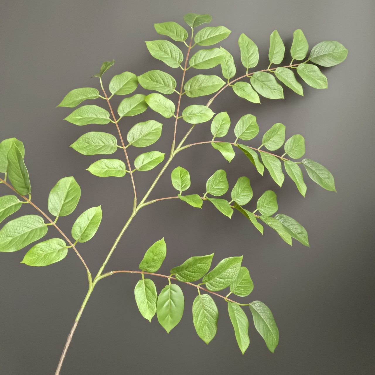 仿真3d打印7片番石榴叶幸福树叶 北欧简约家居样板间酒店婚庆装饰