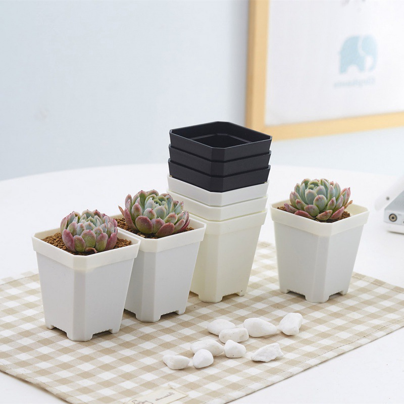 八角加厚小白方多肉花盆加厚塑料方形植物叶插育苗盆生石花方盆