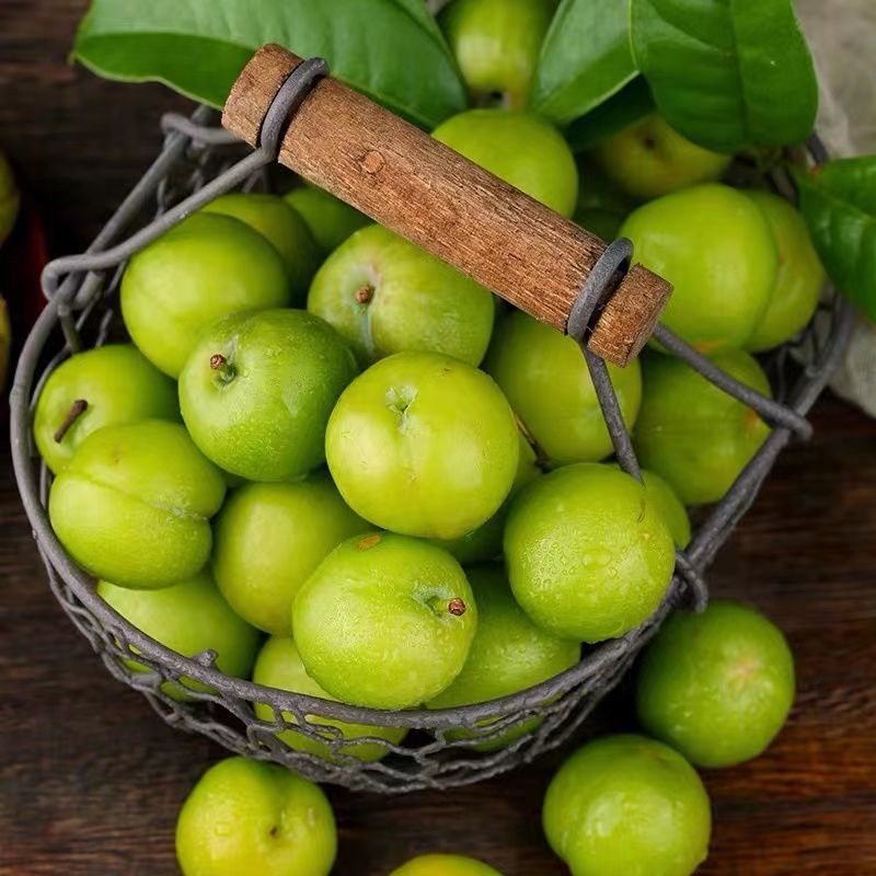 现摘现发青李子酸李子珍珠李三月李青脆李孕妇新鲜酸甜水果精品