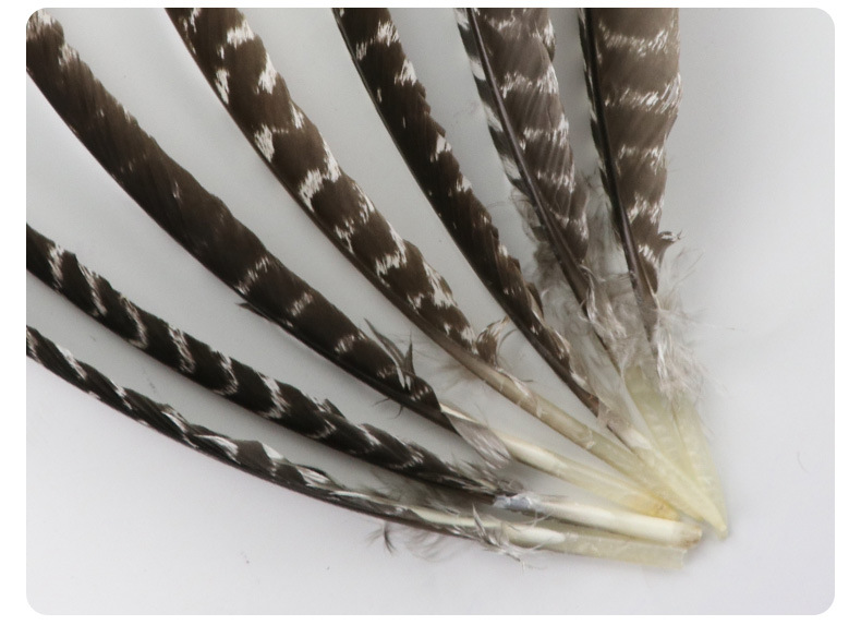 羽毛厂价直销23-30厘米天然花火鸡刀翎毛弓箭 用羽毛