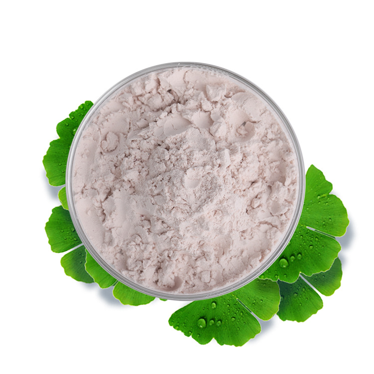 水溶青梅果粉青口梅青梅粉喷雾干燥青梅果汁原料现货